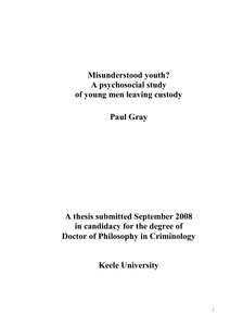 Youth crime dissertation examples image